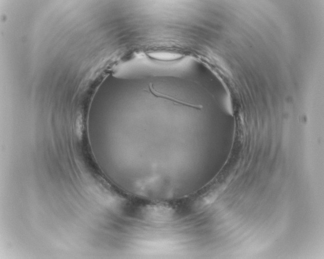 X0000088850644200706221701