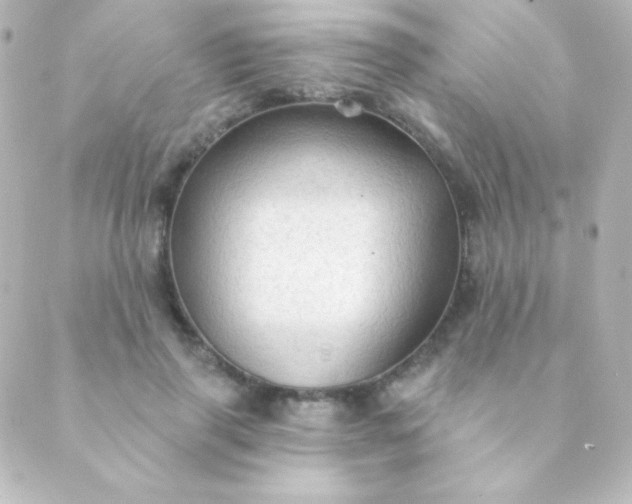 X0000088850645200706221701