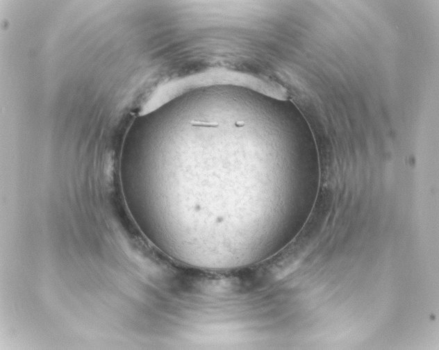 X0000088850646200706221701