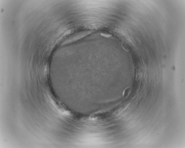 X0000088850647200706221701