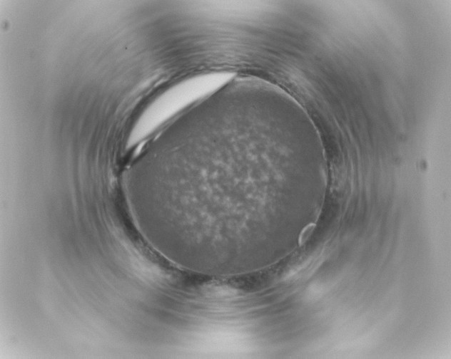 X0000088850648200706221701