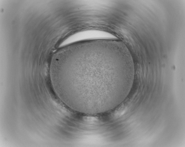 X0000088850649200706221701