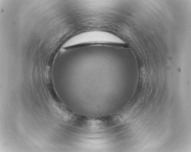 X0000088850650200706221701