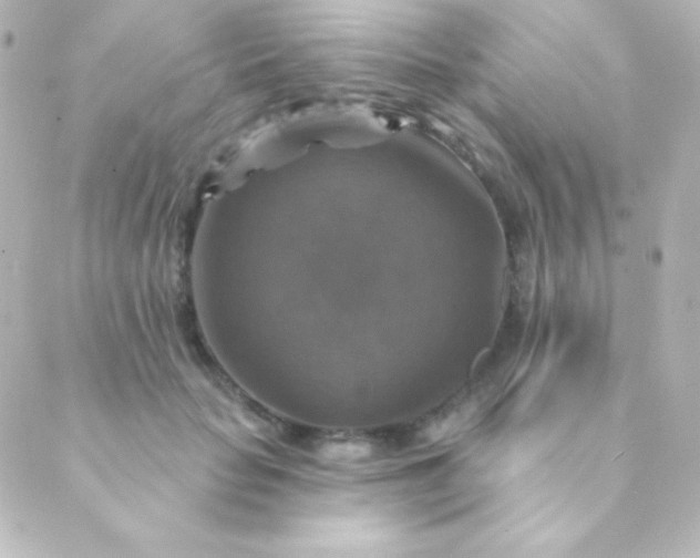 X0000088850653200706221701