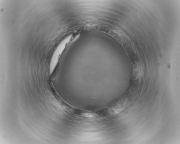 X0000088850654200706221701