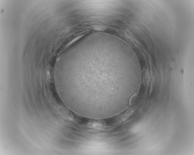 X0000088850655200706221701