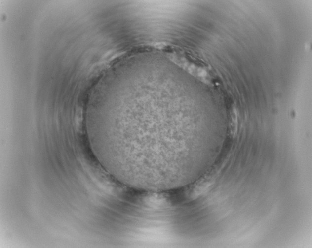 X0000088850656200706221701