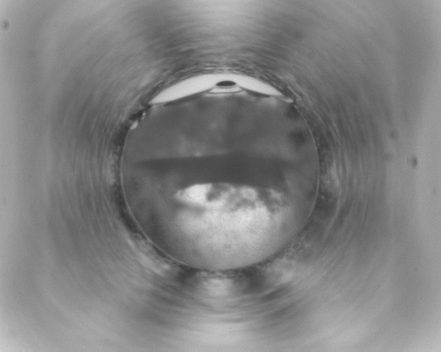 X0000088850658200706221701