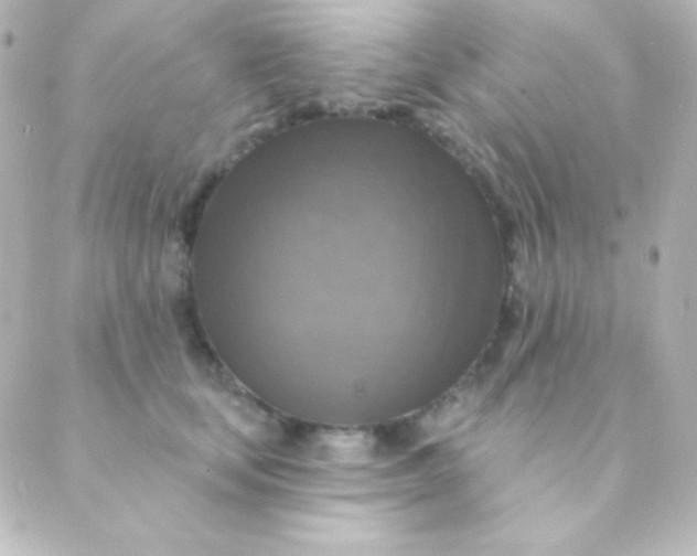 X0000088850659200706221701