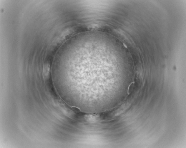 X0000088850660200706221701