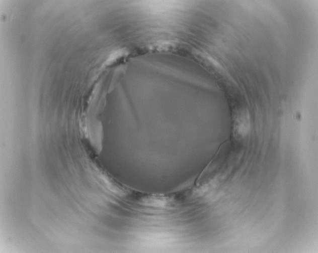 X0000088850661200706221701