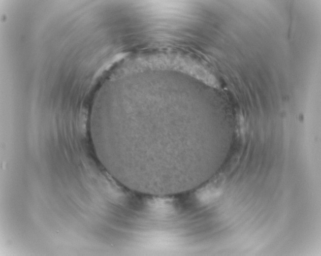 X0000088850664200706221701