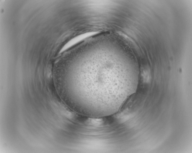 X0000088850665200706221701