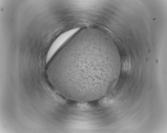 X0000088850666200706221701