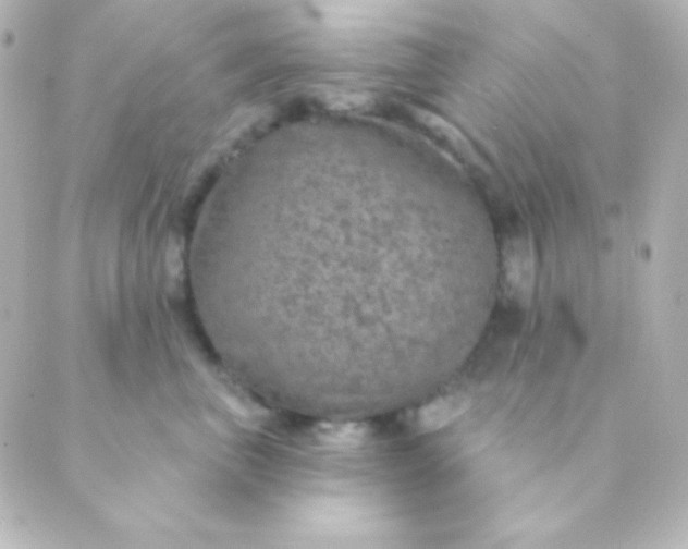 X0000088850667200706221701