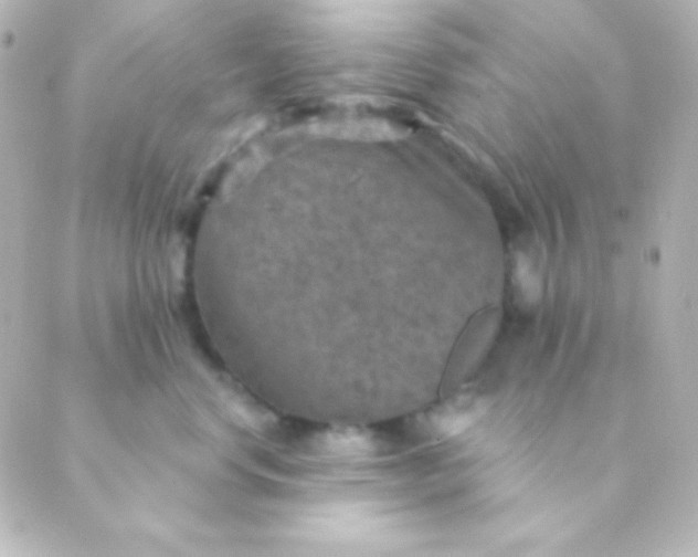 X0000088850668200706221701