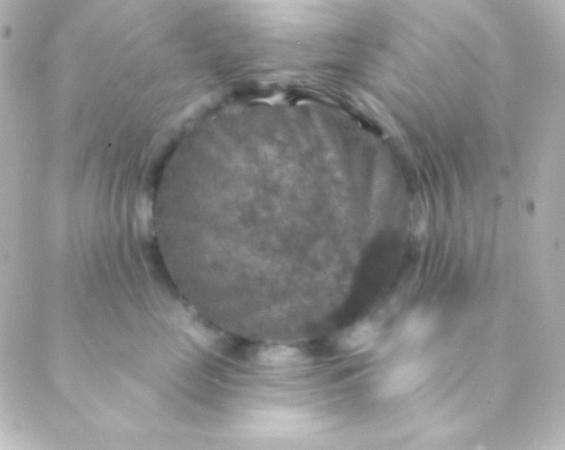 X0000088850669200706221701