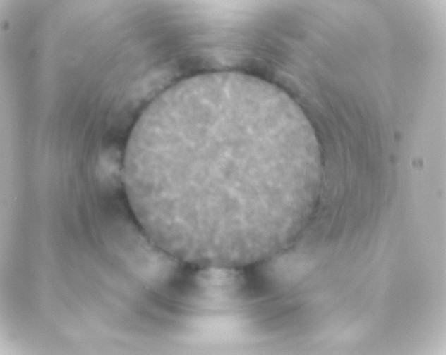 X0000088850672200706221702