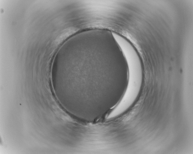 X0000088850673200706221701