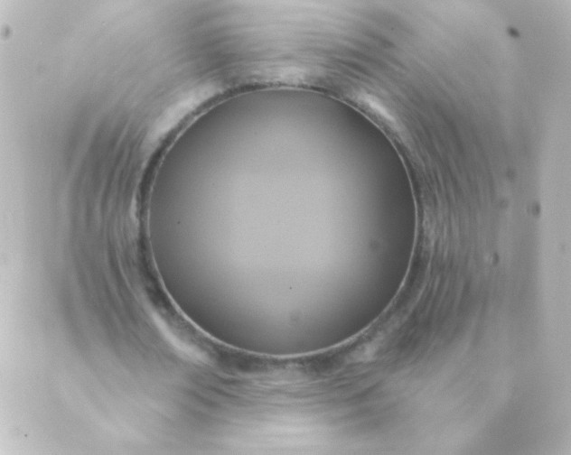 X0000088850674200706221701