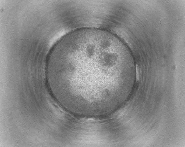 X0000088850675200706221701