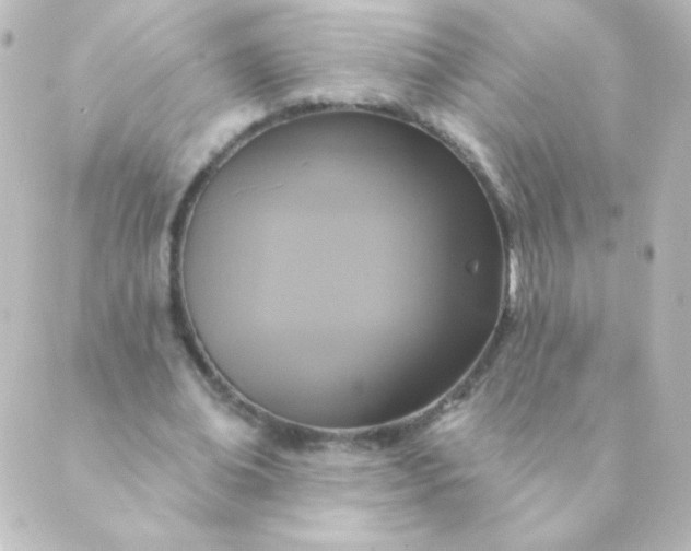 X0000088850678200706221701