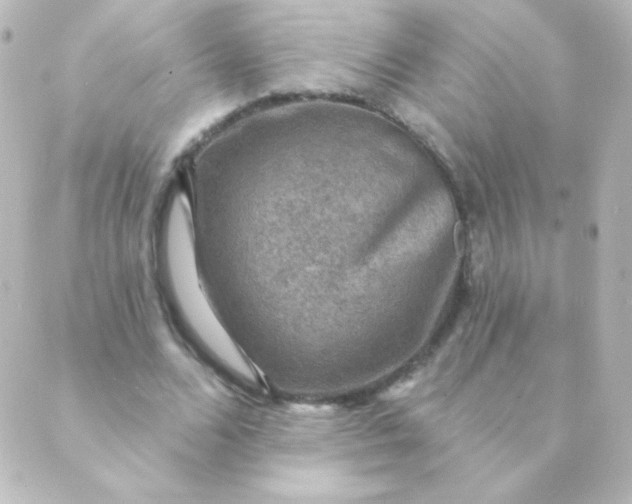 X0000088850680200706221701