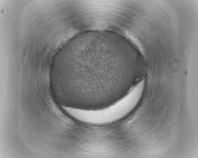 X0000088850681200706221701