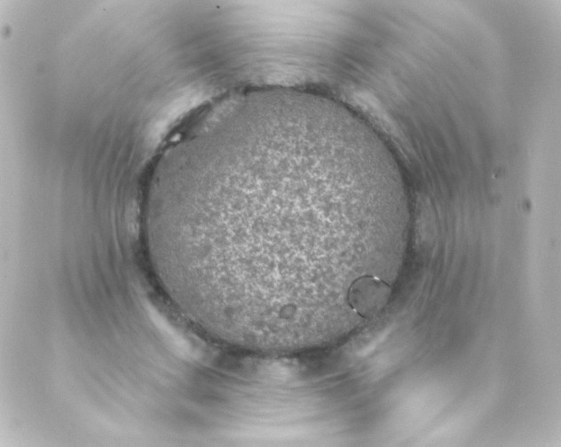 X0000088850683200706221701