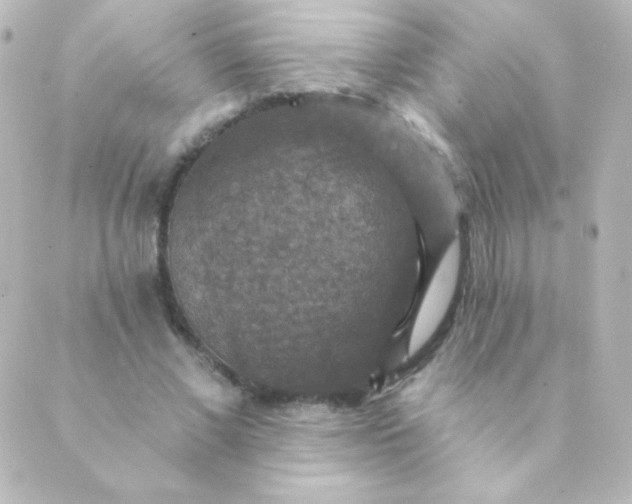 X0000088850685200706221701