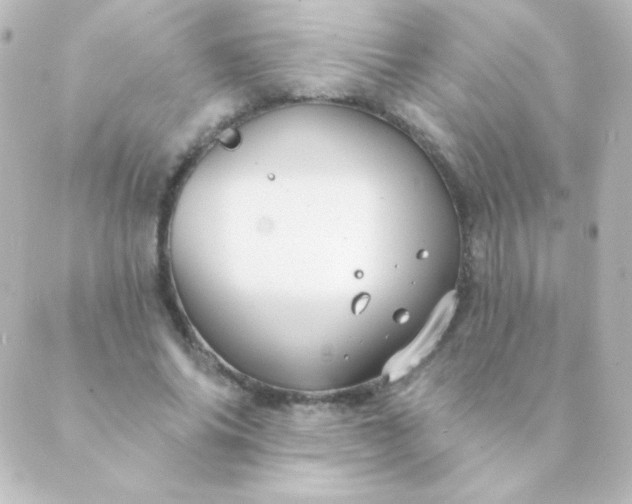 X0000088850686200706221701