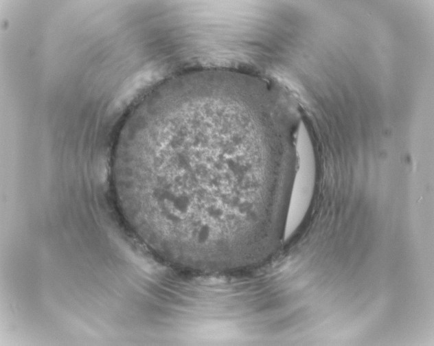 X0000088850687200706221701