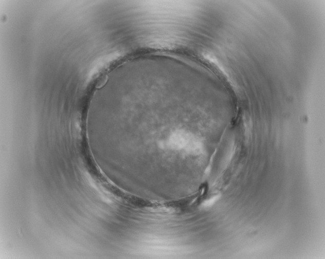 X0000088850688200706221701