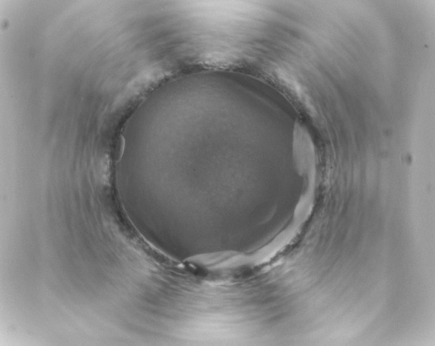 X0000088850689200706221700