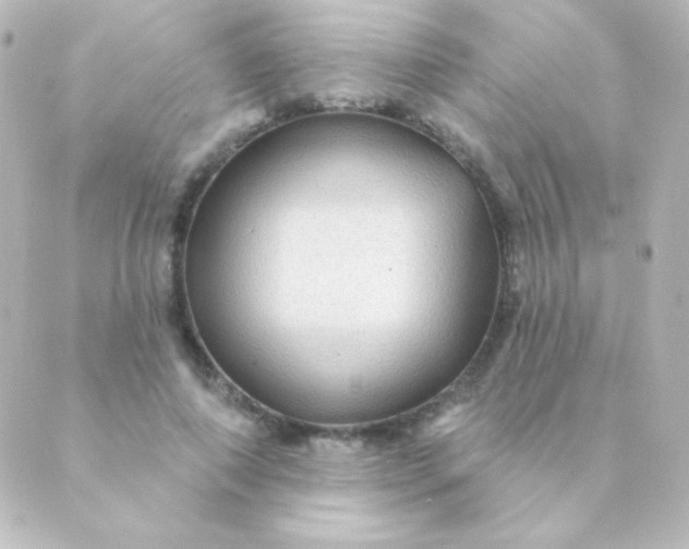 X0000088850690200706221700