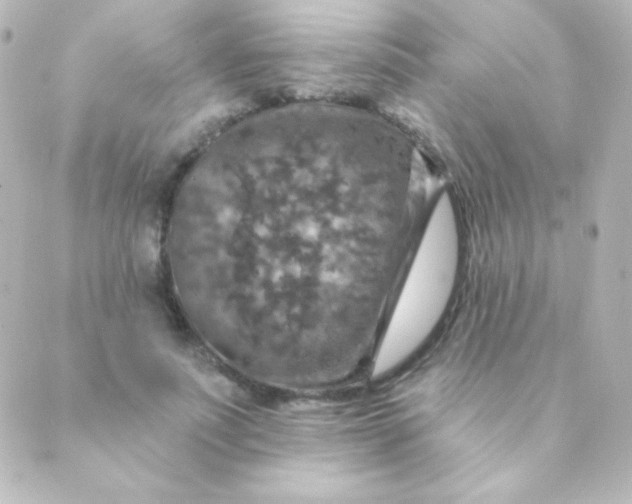 X0000088850691200706221700