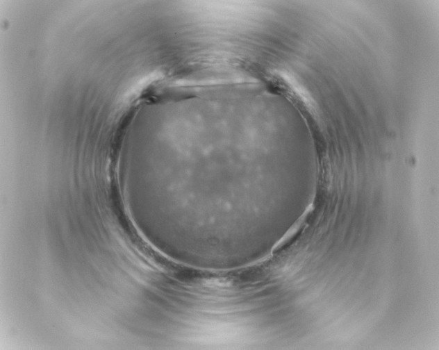 X0000088850692200706221700