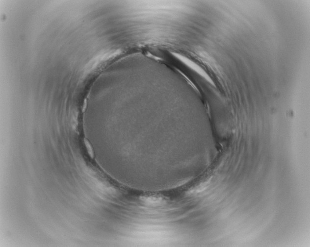 X0000088850693200706221700