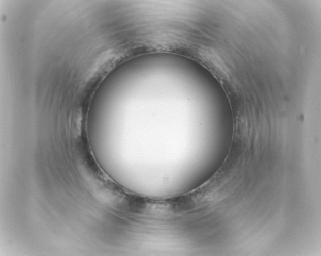 X0000088850694200706221700