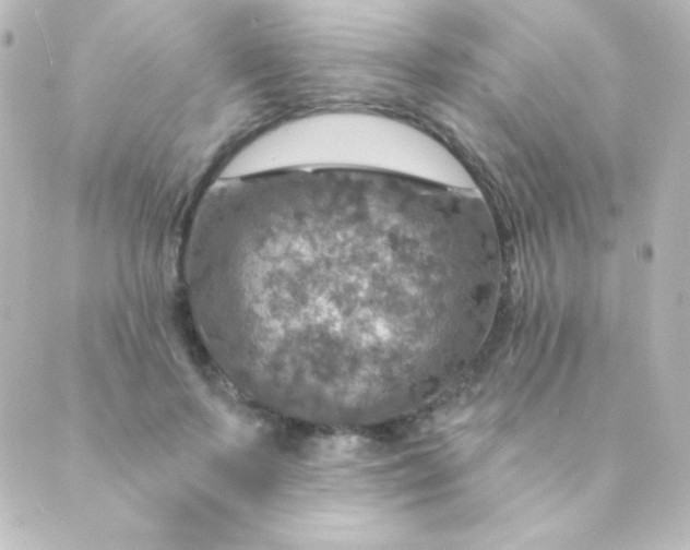 X0000088850695200706221700