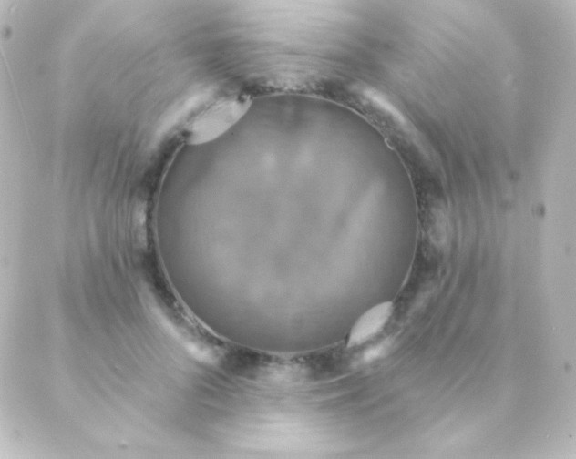 X0000088850696200706221700