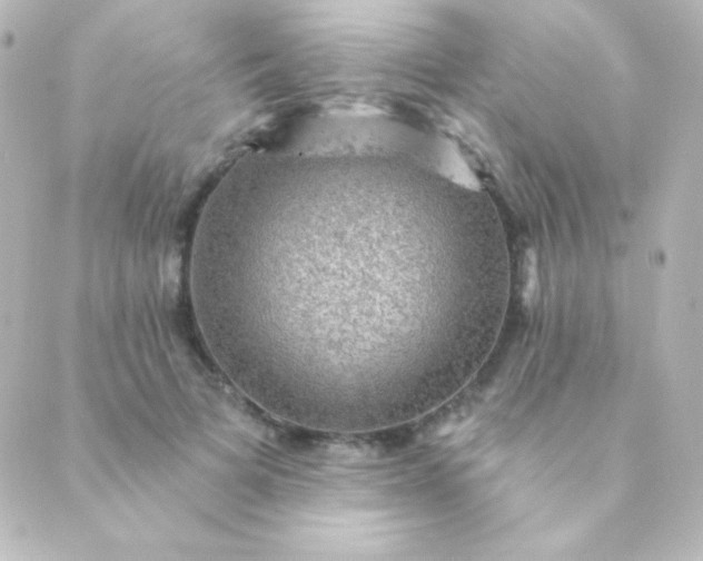 X0000088850697200706221700