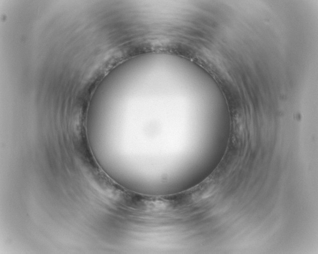 X0000088850698200706221700