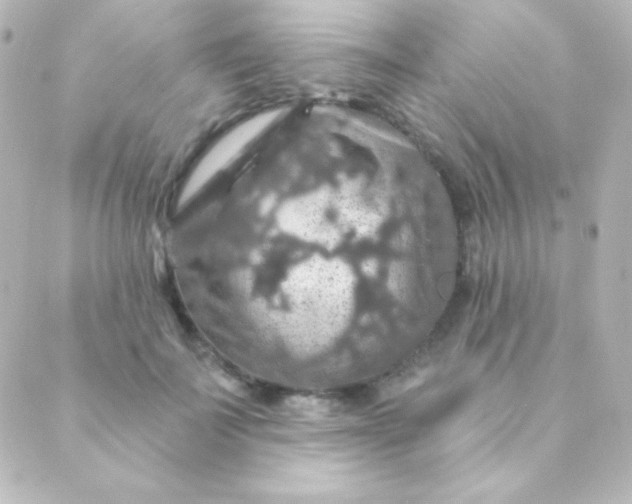 X0000088850699200706221700