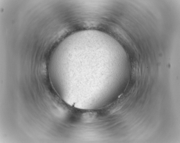 X0000088850700200706221700