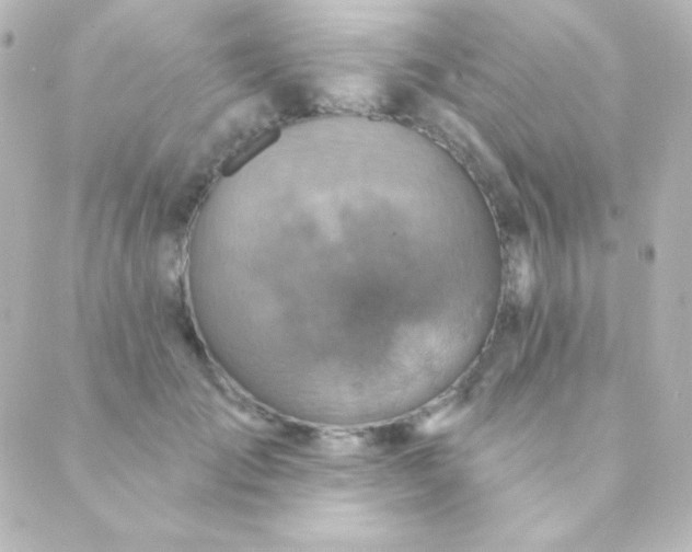 X0000088850701200706221700