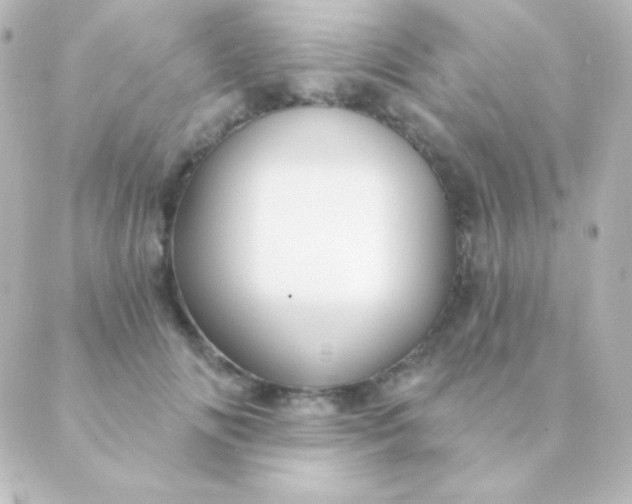 X0000088850702200706221700