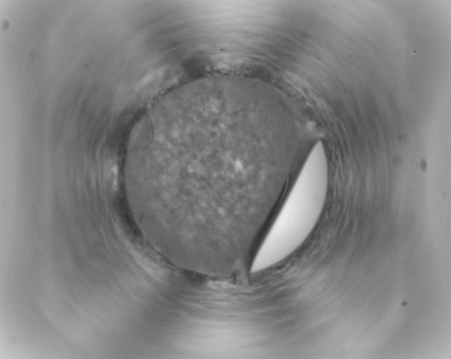 X0000088850703200706221700