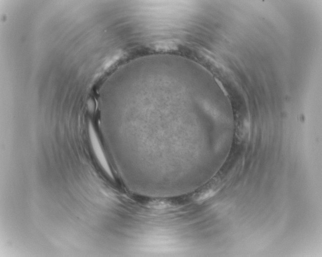 X0000088850704200706221700