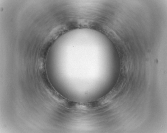 X0000088850706200706221700